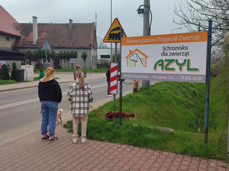W schronisku dla psów „AZYL” w Dzierżoniowie