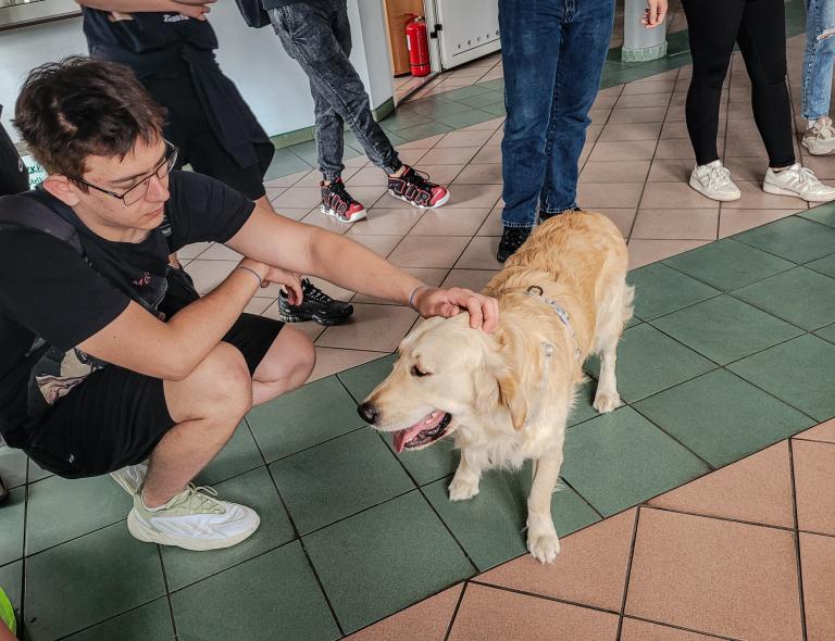 Psie wsparcie – Zajęcia z dogoterapeutką i psem terapeutycznym