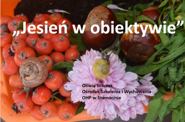 Wojewódzki Konkurs Fotograficzny „Jesień w obiektywie” – rozstrzygnięty