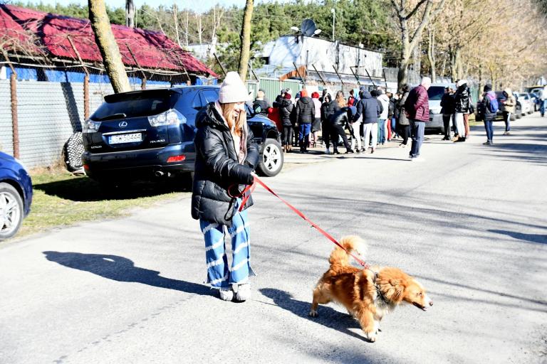 Młodzież z Ośrodka OHP w Radzyniu Podlaskim pomagała w schronisku dla psów