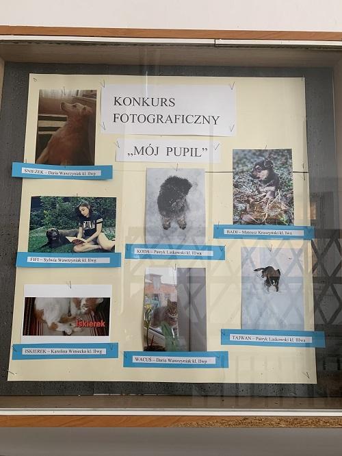 Rozstrzygnięcie konkursu fotograficznego „Mój Pupil”.