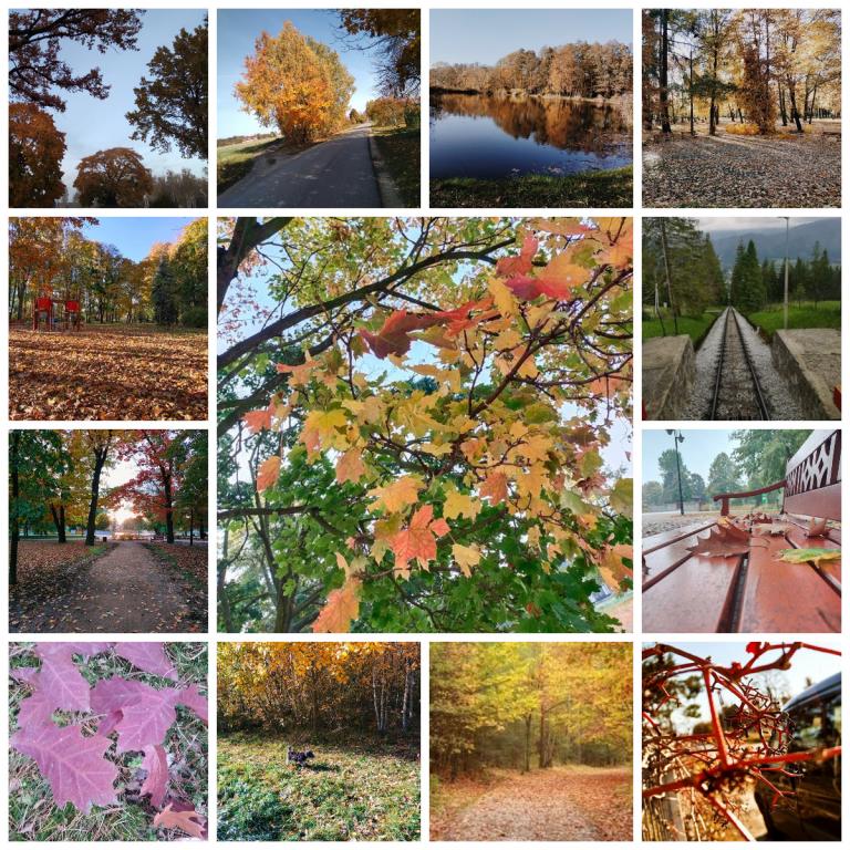 „Jesienią, jesienią, sady się rumienią…”  – konkurs fotograficzny