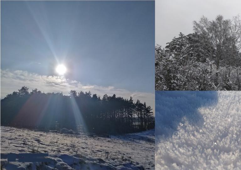 Konkurs fotograficzny „Zima w obiektywie” w Hufcu Pracy w Czarnkowie