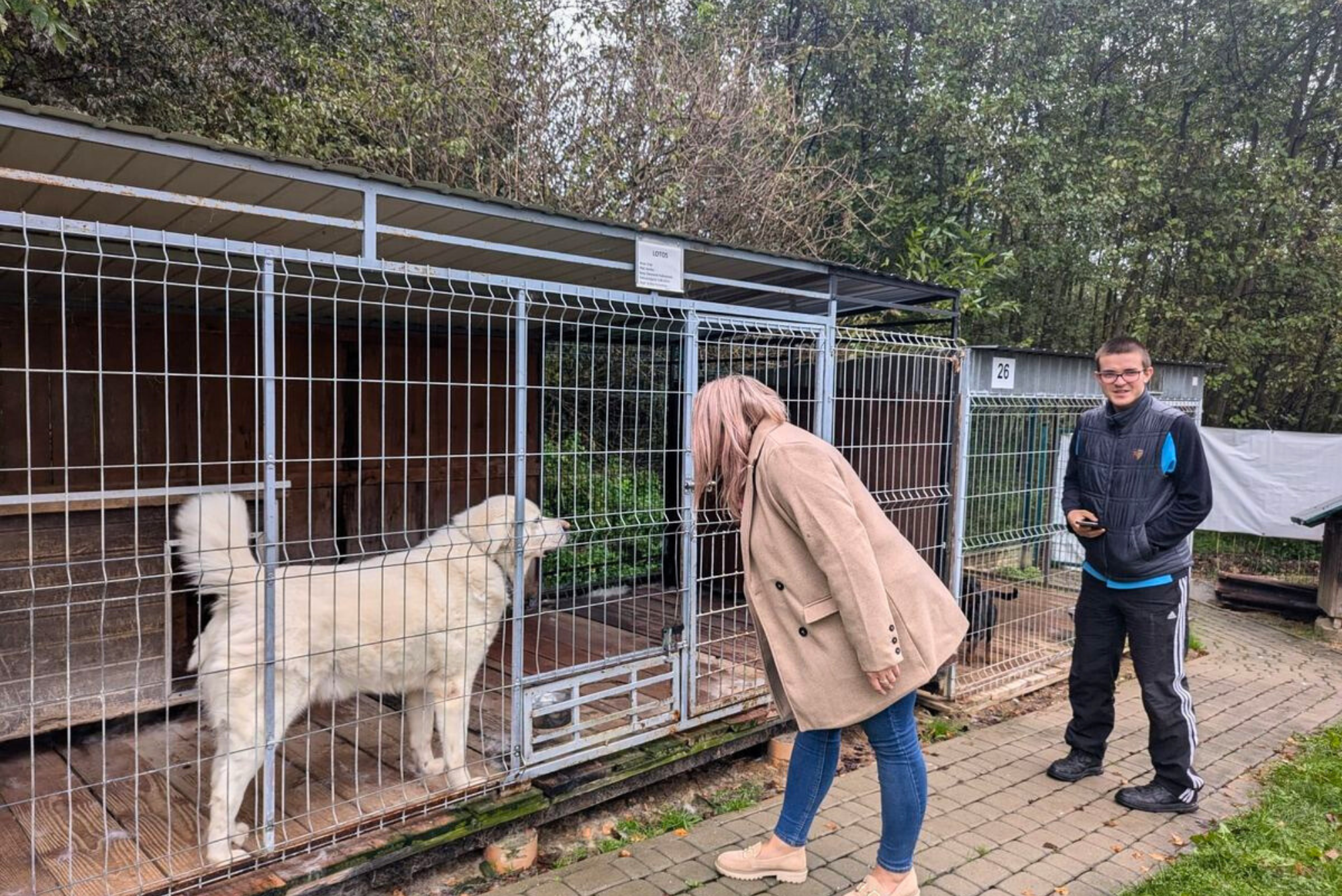 Młody chłopak oraz dziewczyna patrzą na dużego białego psa w kojcu