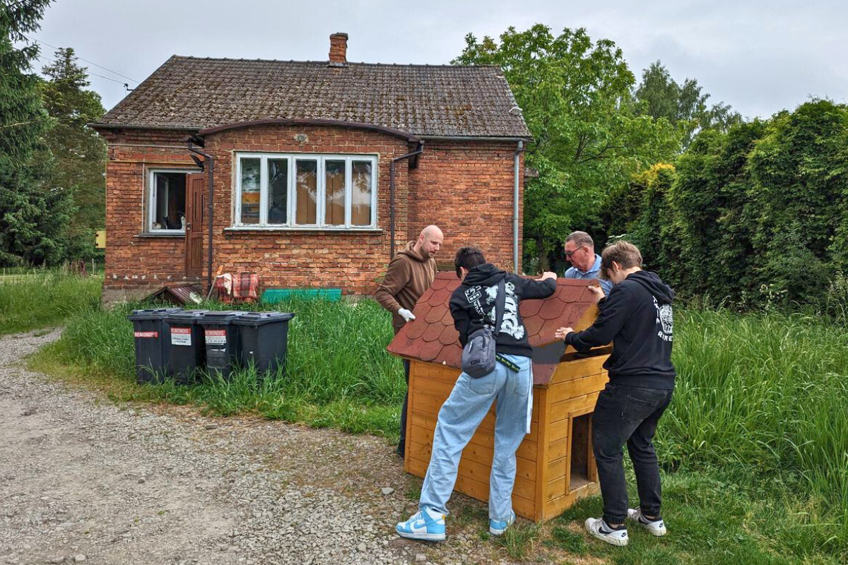 Młodzież wspiera schronisko dla kotów